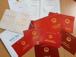 Cách chức nữ phó phòng Tỉnh ủy Đắk Lắk mua bằng cấp 3 để thăng tiến