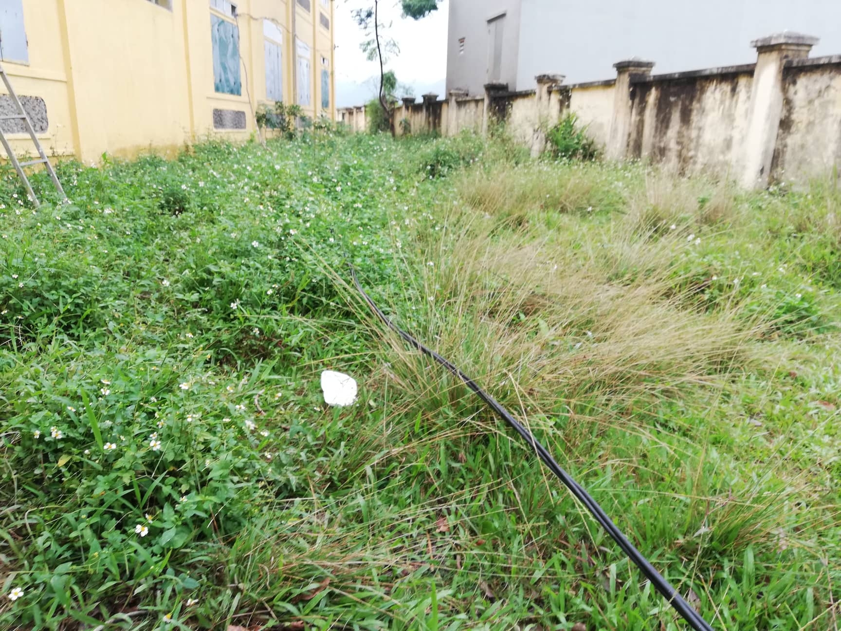 hoc sinh lop 2 bi dien giat tu vong soi day dien da roi xuong tu nhieu ngay truoc