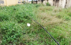 vu 4 cong nhan vien thong bi dien giat khoi to pho giam doc cong ty dien luc ha tinh