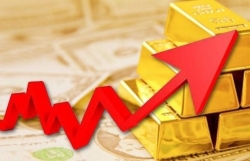 gia vang hom nay 111 thuong hieu nao tang manh toi 210000 dongluong