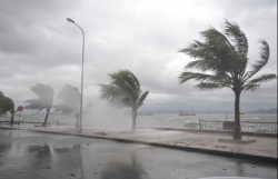 bien dong lai chuan bi don bao so 6