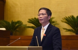 yeu cau cong ty tham viet trung quoc pha bo mo hinh giong duong luoi bo trong khuon vien nha dieu hanh