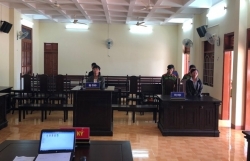 bo truong nguyen van the noi gi ve de xuat bat den xe ca ngay