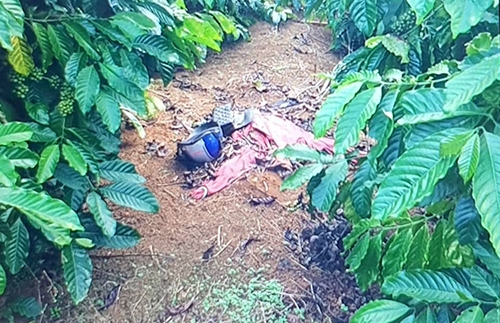 bat chu thau xay dung sat hai nguoi tinh phi tang xac trong ray ca phe