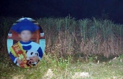 hoc theo tro that co con song tren mang be trai 8 tuoi o tphcm suyt chet