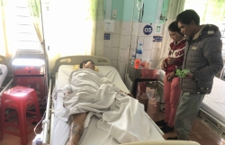 mua ong ruoi o dai ngan xanh