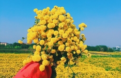 lich nghi tet nguyen dan 2020 ngan hang vpbank