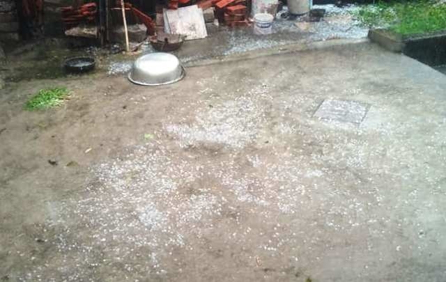 mua da cuc lon xuat hien tai thanh hoa phu tho