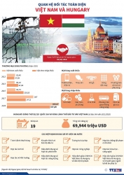 infographics quan he doi tac toan dien viet nam va hungary