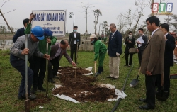 tinh fukushima tang hoa anh dao cam on su giup do cua viet nam sau tham hoa dong dat song than