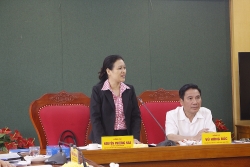 Chủ tịch VUFO Nguyễn Phương Nga: Thái Nguyên rất sáng tạo trong công tác hữu nghị