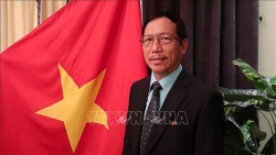 Đại sứ quán Việt Nam tại Saudi Arabia triển khai nhiều biện pháp hỗ trợ công dân về phòng chống dịch