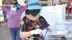 nguoi viet o my chung tay gop suc chong dich covid 19