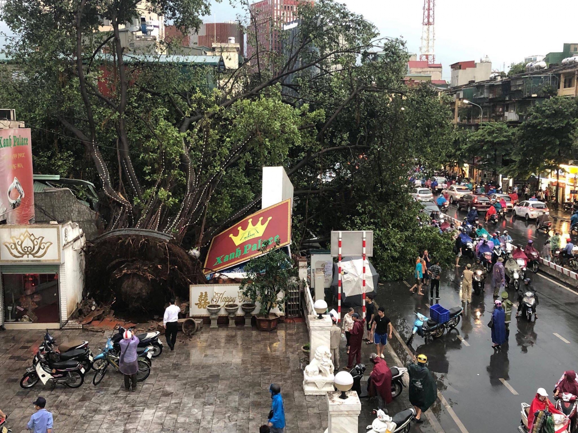 giong loc ha noi cay xanh do rap co nguoi thuong vong