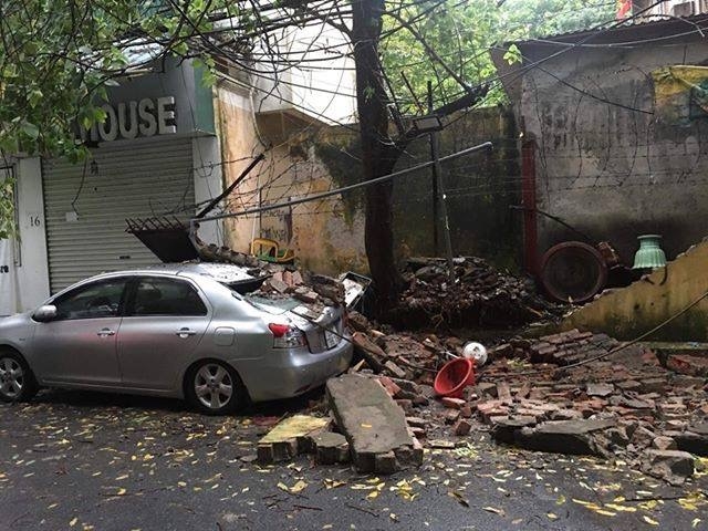 giong loc ha noi cay xanh do rap co nguoi thuong vong