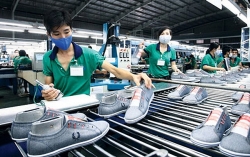 USAID tài trợ hơn 22 triệu USD cho doanh nghiệp nhỏ và vừa Việt Nam