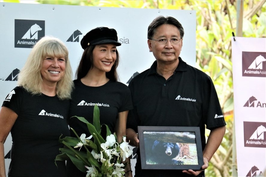 dien vien goc viet maggie q dat ten cho gau o tam dao
