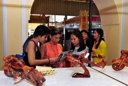 an tuong ngay viet nam tai hoi cho quoc te la habana lan thu 37