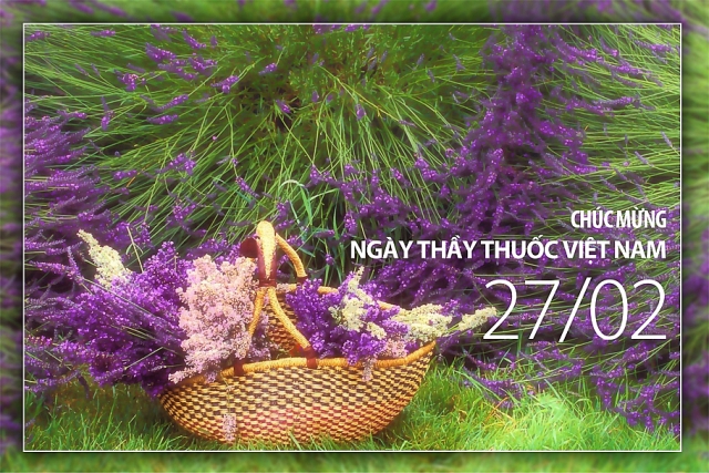 nhung tam thiep dep va y nghia chuc mung ngay thay thuoc viet nam