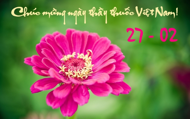 nhung tam thiep dep va y nghia chuc mung ngay thay thuoc viet nam