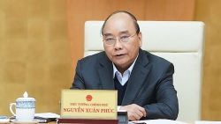 Thủ tướng: Thực hiện ngay việc bình ổn, đưa giá thịt lợn về 60.000 đồng/kg