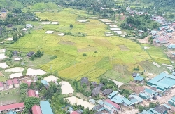 no luc giam ngheo noi o vung bien