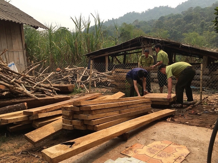 dien bien truong cong an xa cho nguoi la gui go khai thac trai phep