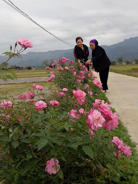 xay dung nong thon moi gan voi giam ngheo ben vung o huyen vung bien