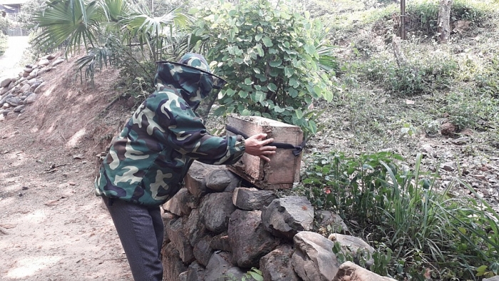 mang vang tu rung