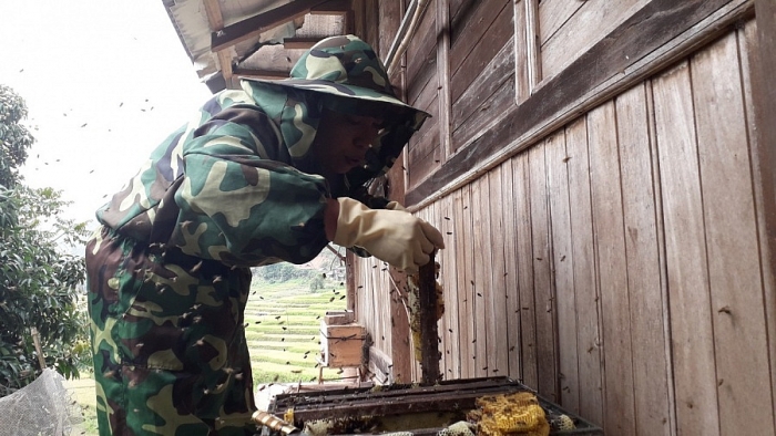 Phát triển nông nghiệp bền vững – chìa khóa giảm nghèo ở xã Mường Chà 4011-9ac7e102d9273d796436