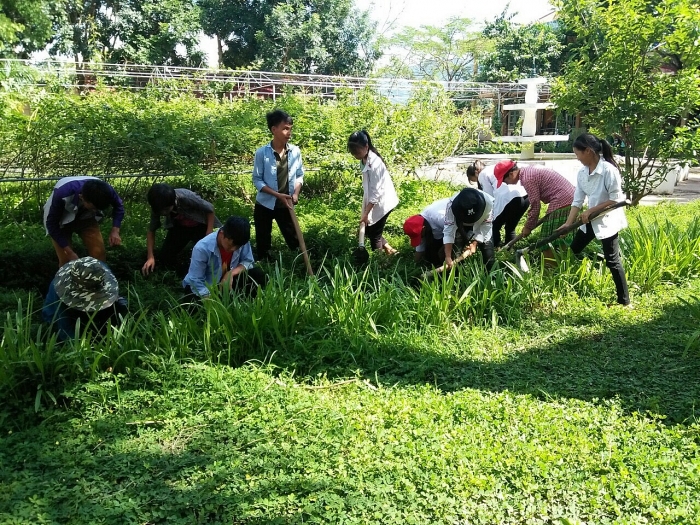 manh dat cuc tay san sang cho ngay hoi khai truong