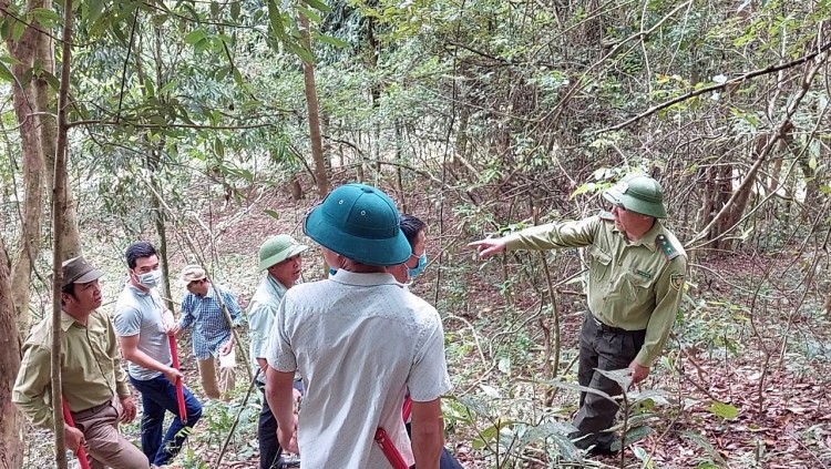 Kiểm lâm Điện Biên Đông (Điện Biên) tăng cường bảo vệ và phát triển vốn rừng