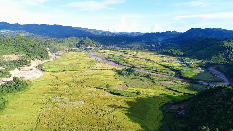Nậm Pồ - mùa gặt vùng biên