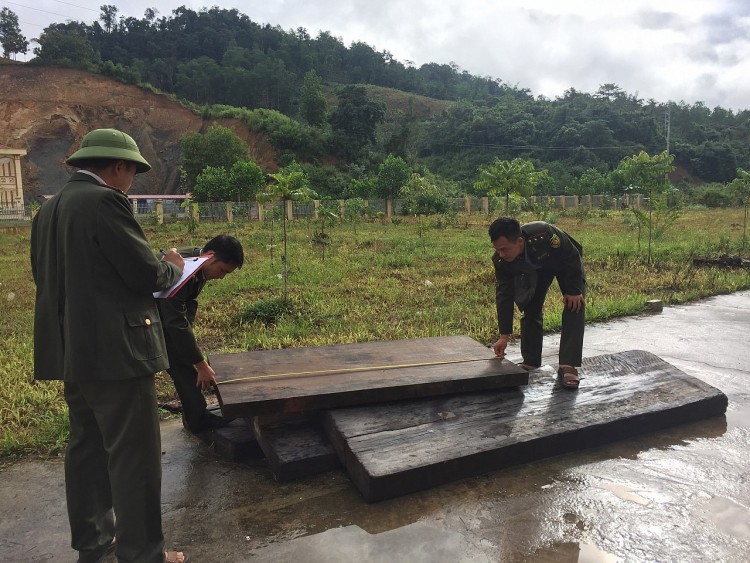 Điện Biên: Đẩy mạnh xử lý và tuyên truyền nhằm hạn chế tình trạng phá rừng làm nương