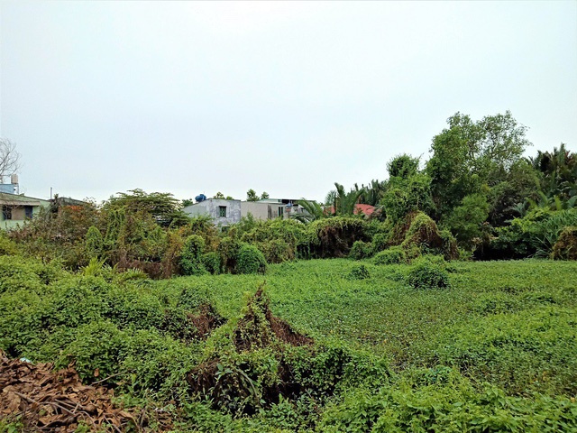 bitexco sau su map mo o the manor central park den lum xum tai du lich huong giang