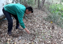 300 xac thai nhi tai nha may xu ly rac ca mau them nhung phat hien bang hoang
