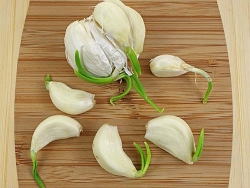 thuc hu viec an toi moc mam la than duoc voi suc khoe