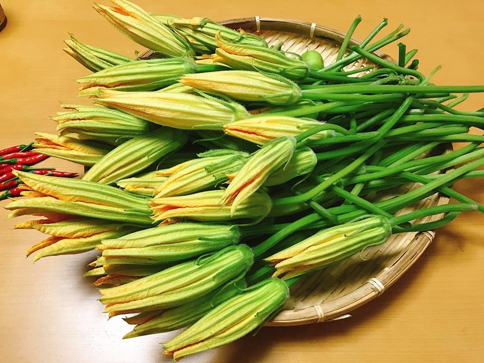 Vườn dâu tây đỏ mọng trĩu trịt quả trong vườn nhà nàng dâu Việt ở Nhật Vườn dâu tây đỏ mọng trĩu trịt quả trong vườn nhà nàng dâu Việt ở Nhật