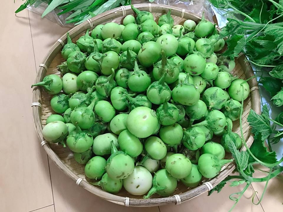 Vườn dâu tây đỏ mọng trĩu trịt quả trong vườn nhà nàng dâu Việt ở Nhật Vườn dâu tây đỏ mọng trĩu trịt quả trong vườn nhà nàng dâu Việt ở Nhật