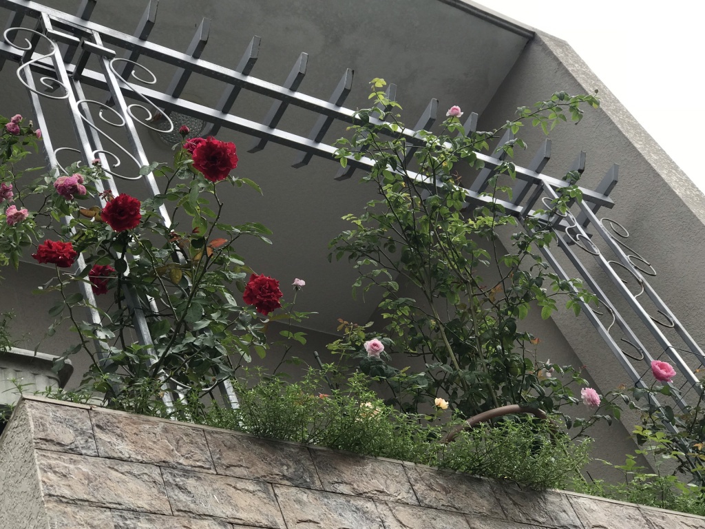 ong bo tam ly thiet ke goc san xanh mat voi xich du va hoa hong cho con gai vui choi mua he