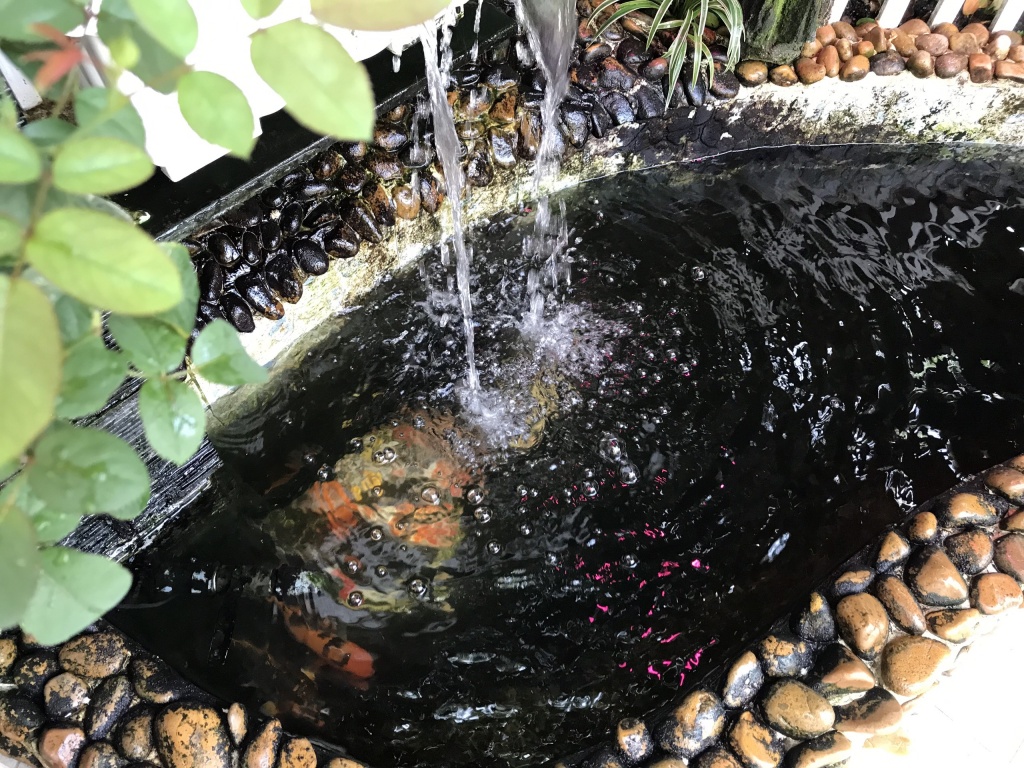 ong bo tam ly thiet ke goc san xanh mat voi xich du va hoa hong cho con gai vui choi mua he