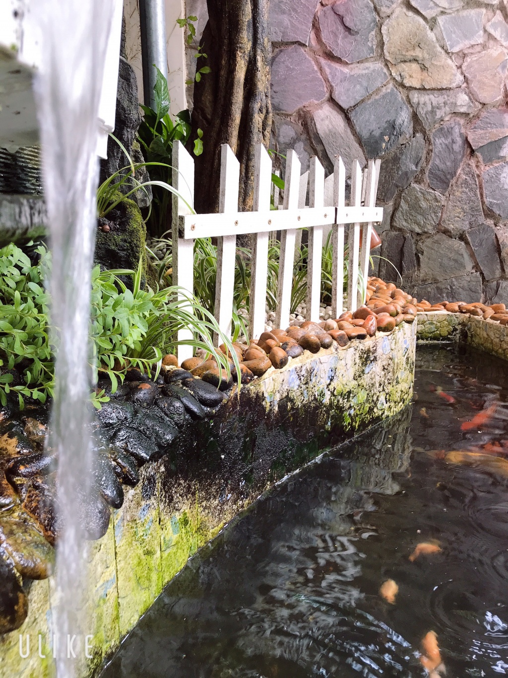 ong bo tam ly thiet ke goc san xanh mat voi xich du va hoa hong cho con gai vui choi mua he