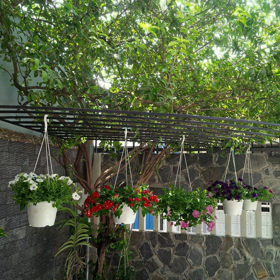 ong bo tam ly thiet ke goc san xanh mat voi xich du va hoa hong cho con gai vui choi mua he