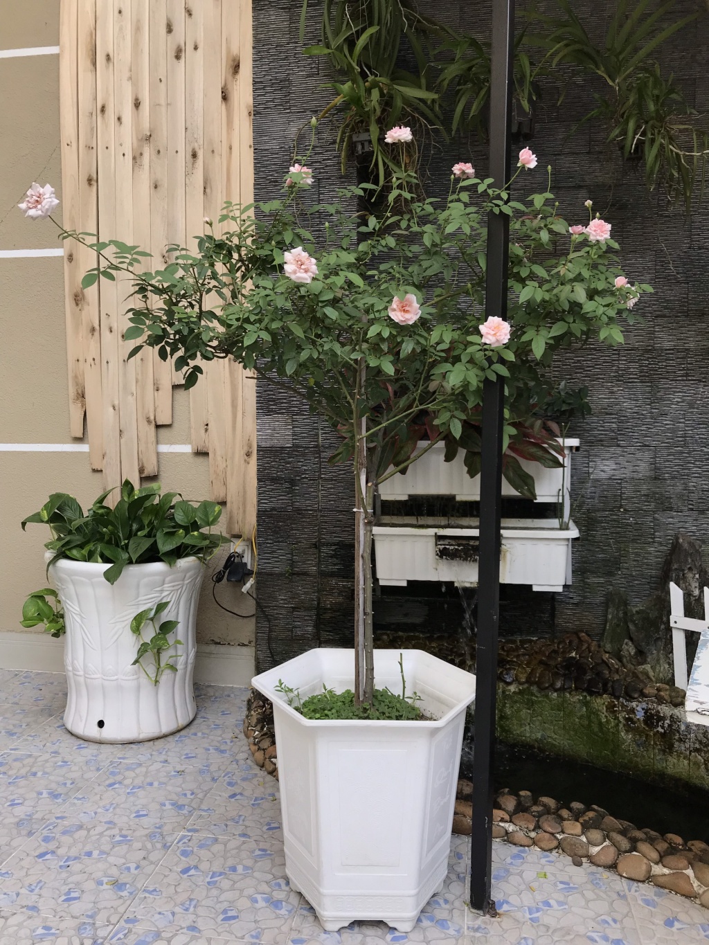 ong bo tam ly thiet ke goc san xanh mat voi xich du va hoa hong cho con gai vui choi mua he