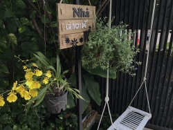 hoa la ron rang khoe sac trong khu vuon san thuong 70m2 o tp hcm