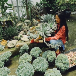 ngan ngo ngam nhin khu vuon 1000m2 trong sen da va xuong rong dep nhu mo cua co gai tre o da lat