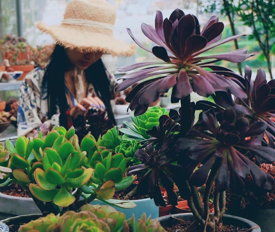 ngan ngo ngam nhin khu vuon 1000m2 trong sen da va xuong rong dep nhu mo cua co gai tre o da lat