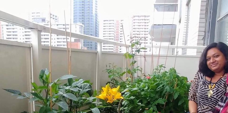 ban cong nho tren tang 15 van trong du loai rau qua sach ai ngam cung me