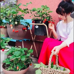 nha tap the coi noi trong nhu phong khach san sau khi sua