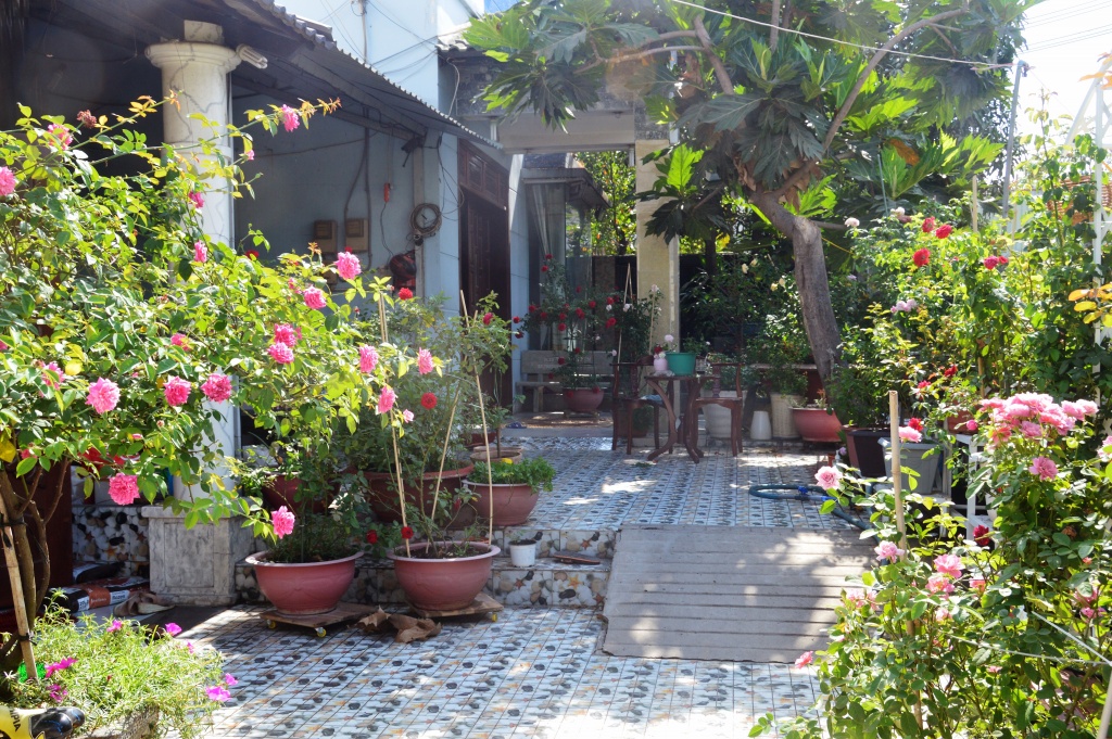 Lối vào nhà đẹp như mơ với hoa hồng rực rỡ trong sắc nắng Sài Gòn loi vao nha dep nhu mo voi hoa hong ruc ro trong sac nang sai gon